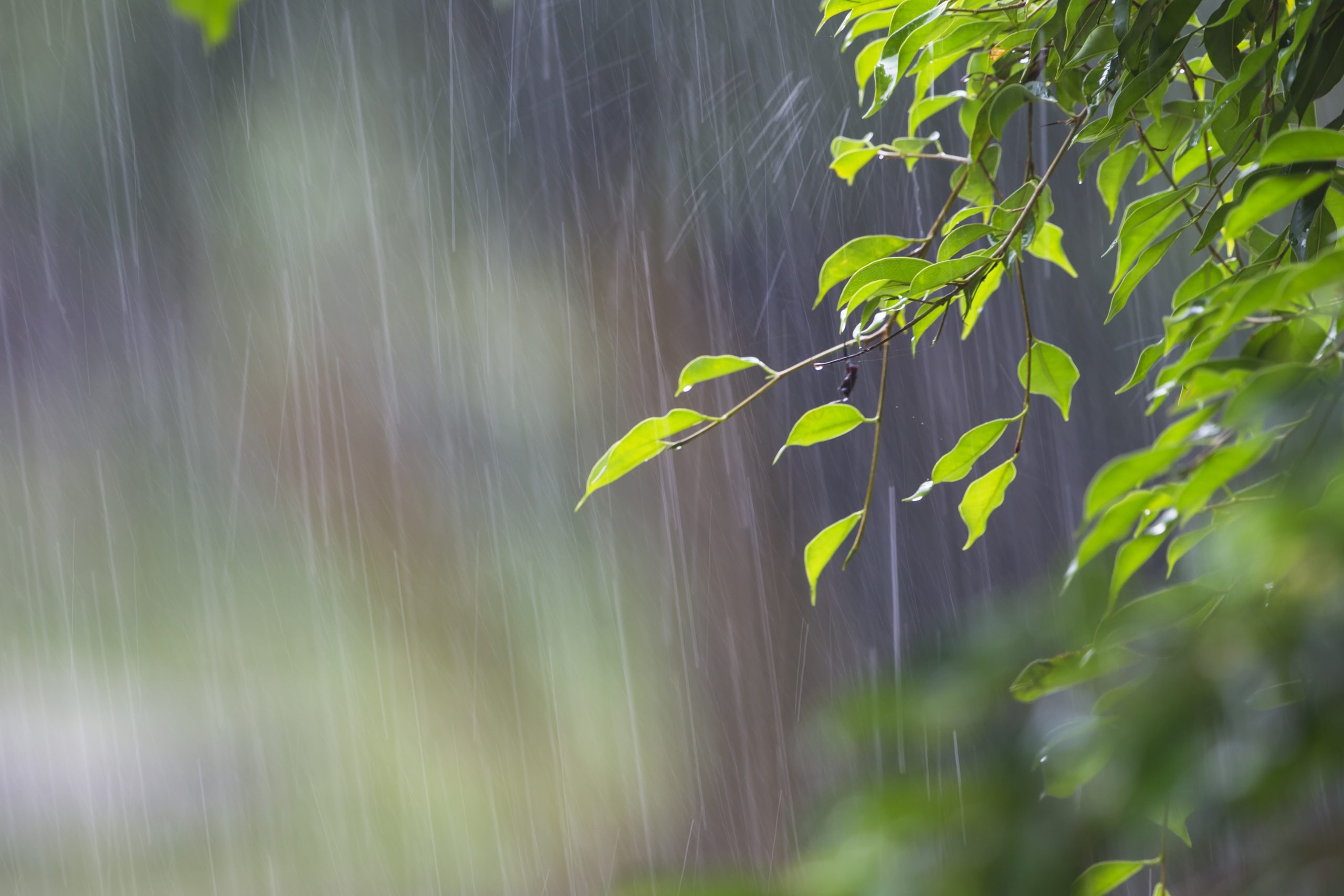 Chuva deixa país em alerta