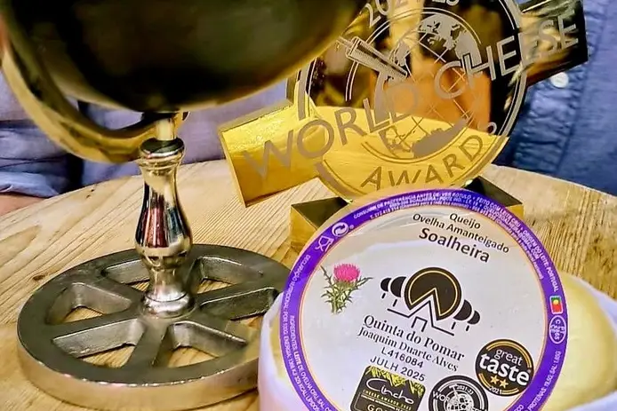 Queijo português é eleito o Melhor do Mundo nos &#8216;World Cheese Awards 2024&#8217;