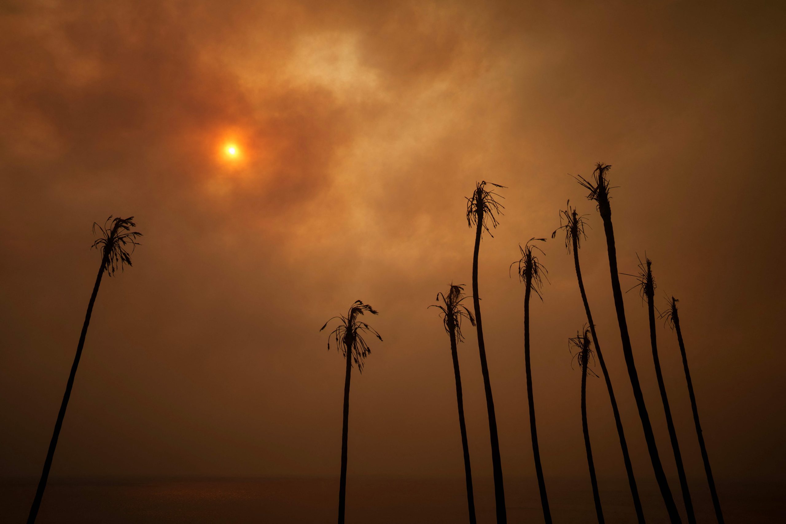 Trump culpa governador da Califórnia pela devastação dos incêndios