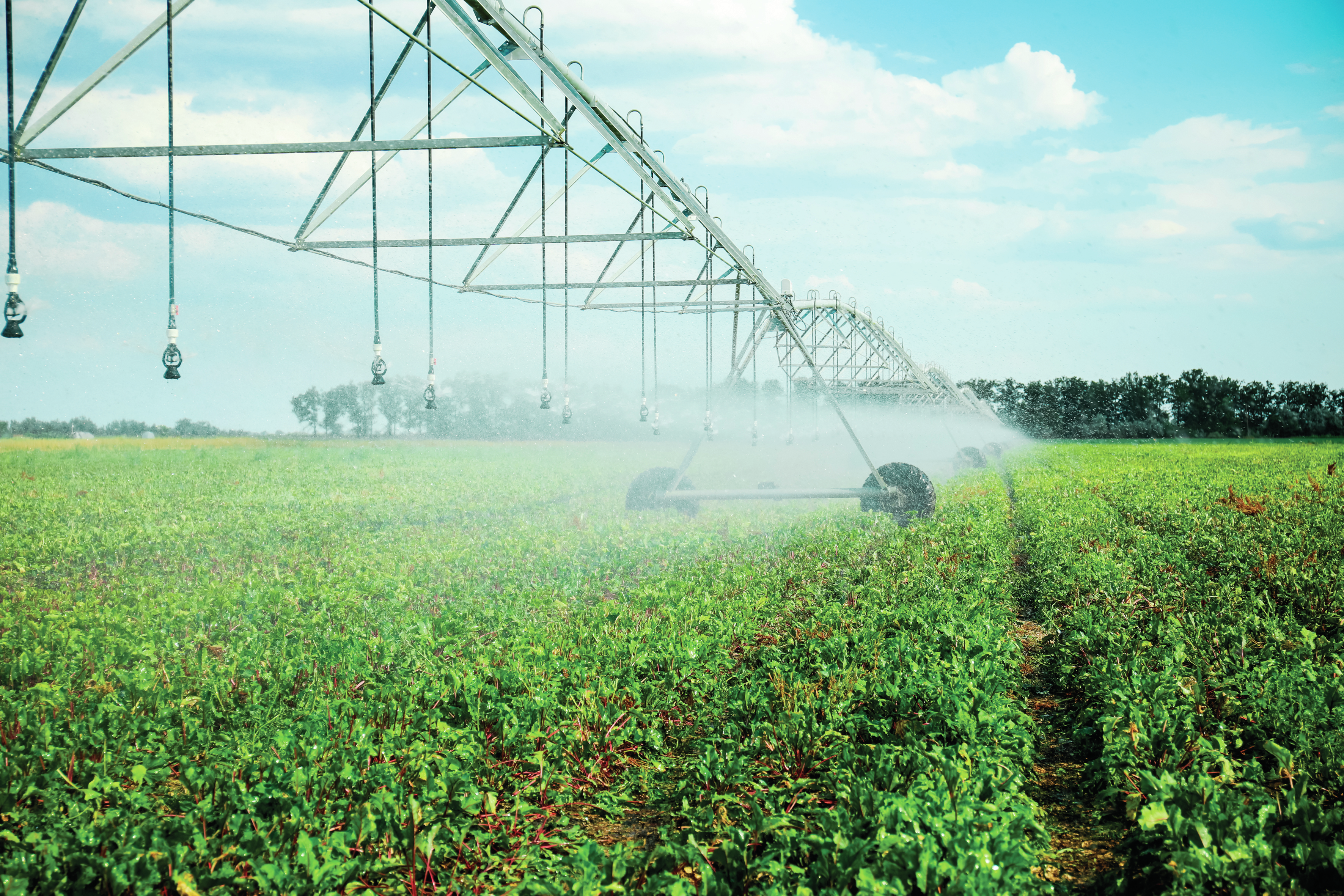 Gestão da água e pagamentos a tempo e horas são alguns dos desafios da agricultura