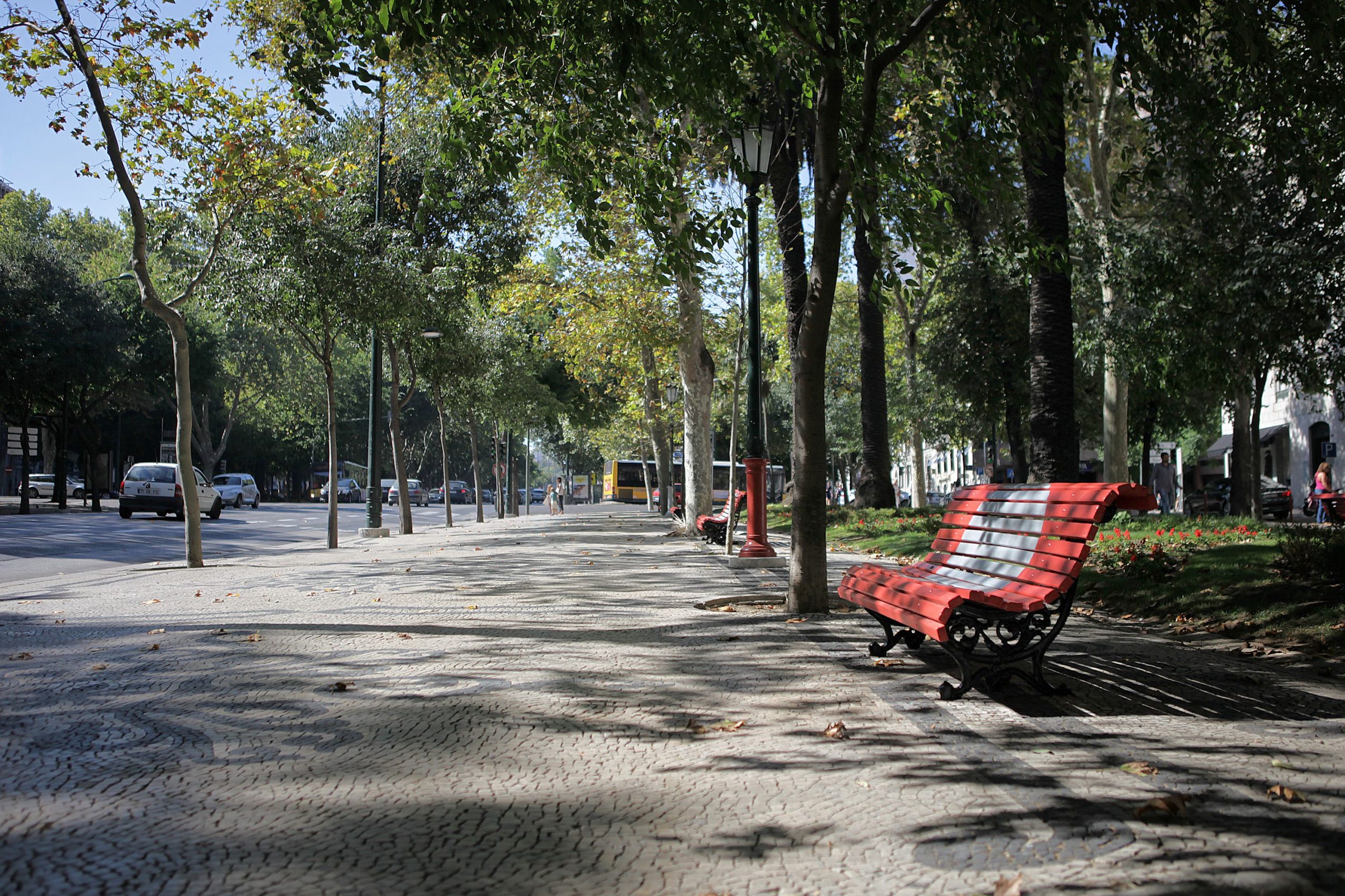 Avenida da Liberdade com menos poluição