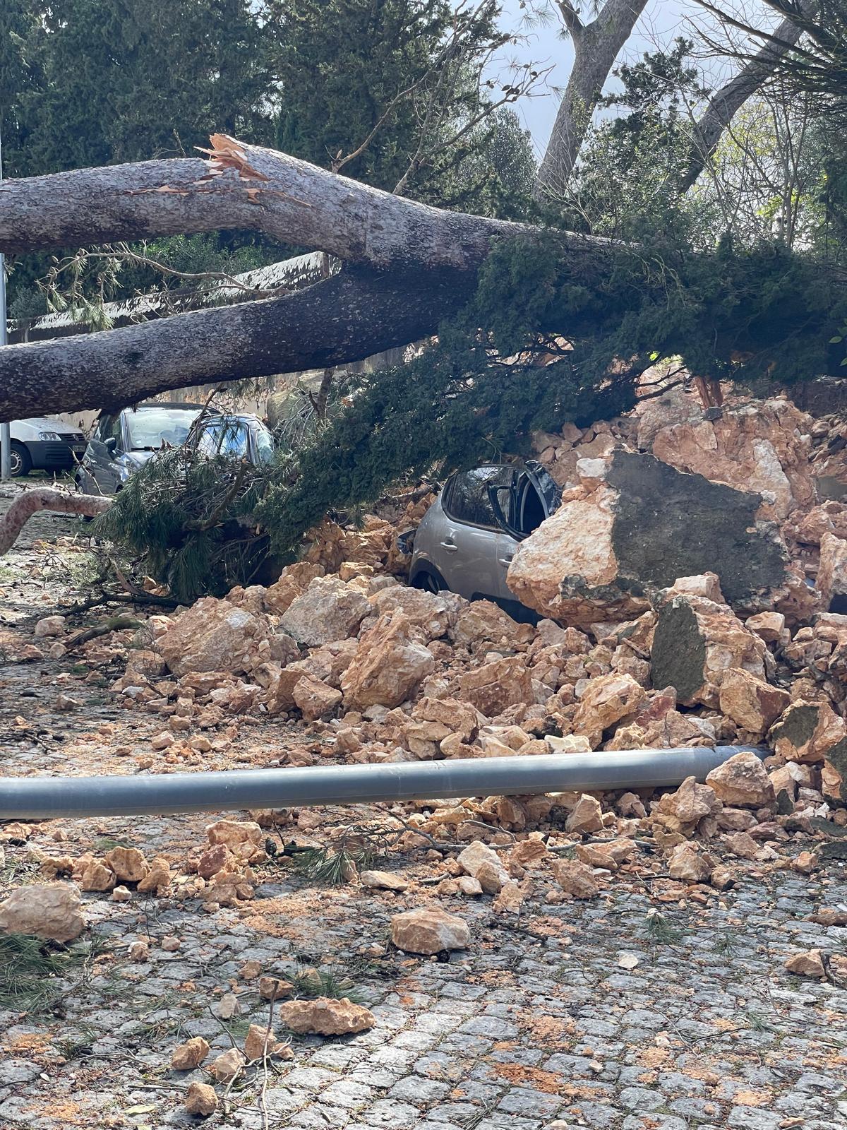 More than 8,500 occurrences due to bad weather