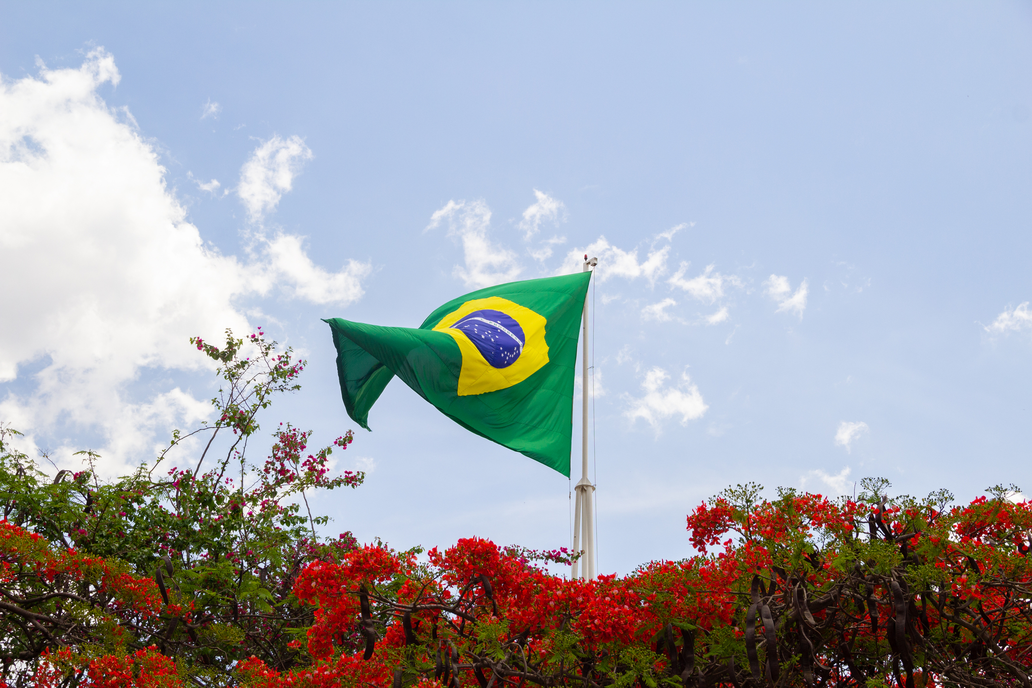 Portuguese MNE workers in Brazil start strike of 4 weeks