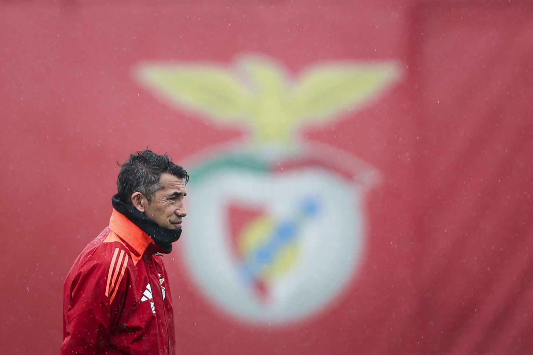 Benfica targets disciplinary proceedings for criticism of arbitration