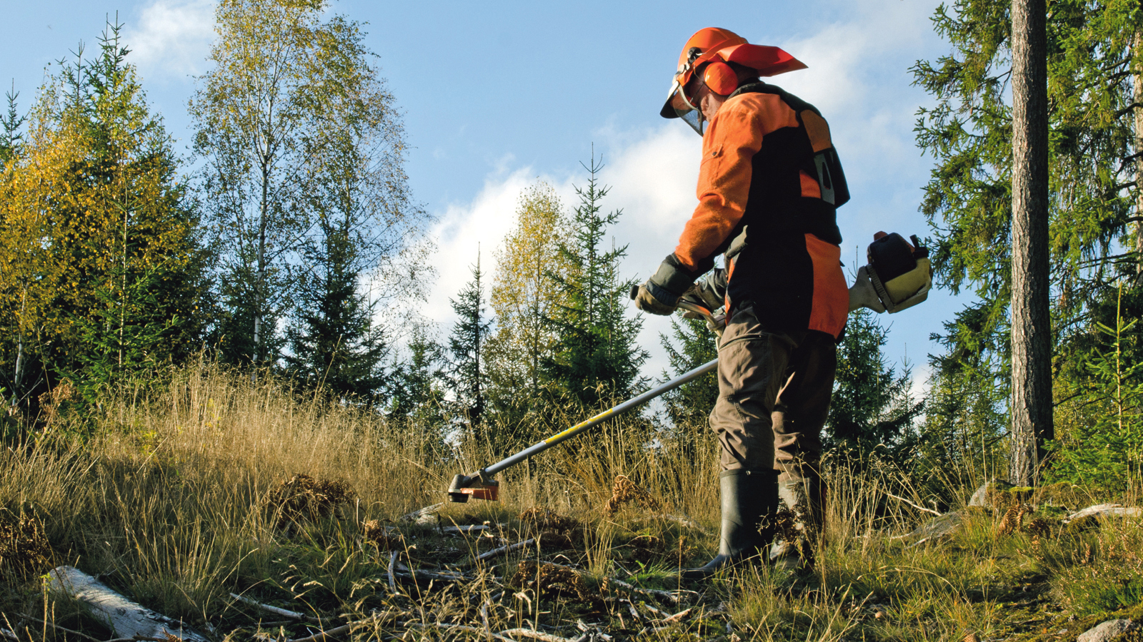 Government prolongs land cleaning until May 31