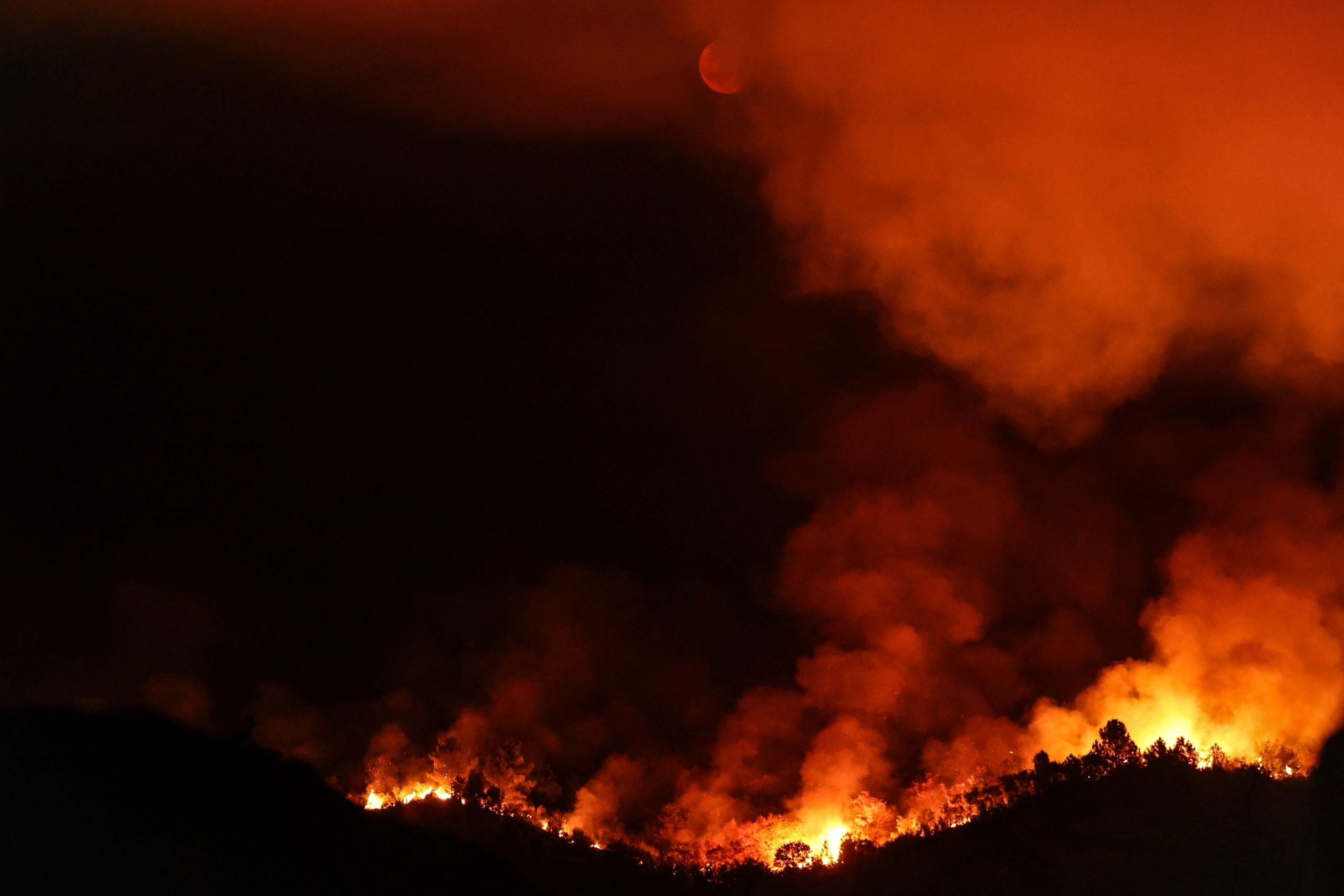 Incêndio que começou em Arganil apresenta maior área ardida de sempre