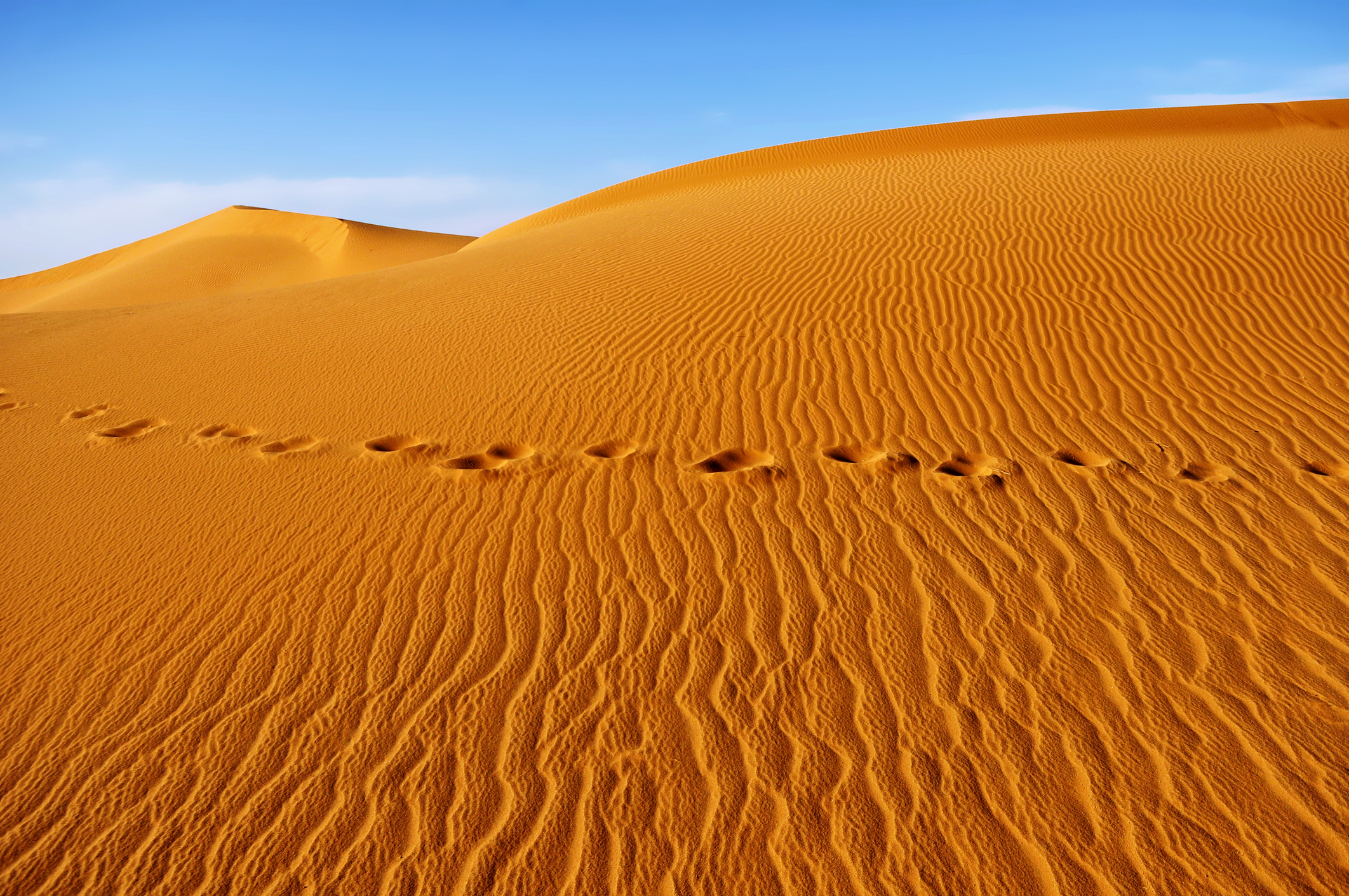 Mais de metade das mortes em ataques terroristas são em África