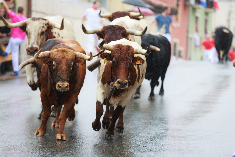 Cinco feridos durante largadas de toiros em Alcochete