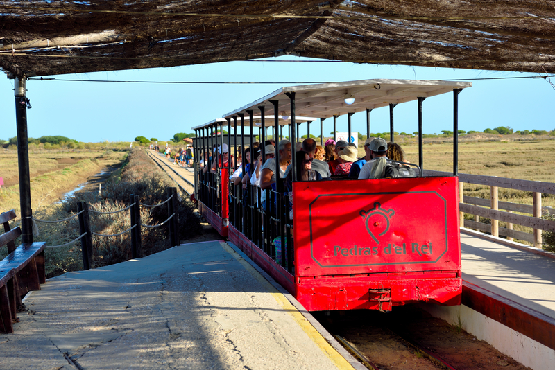 Colisão entre combois turísticos faz 14 feridos