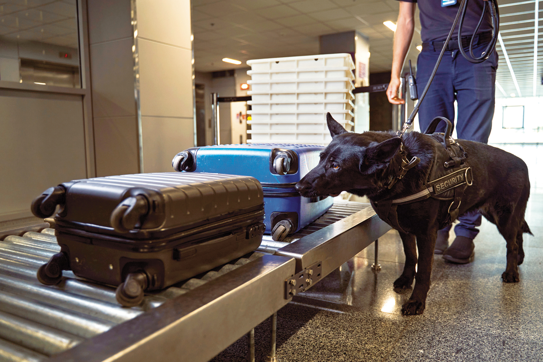 Governo quer Autoridade Aduaneira da UE sediada no Porto