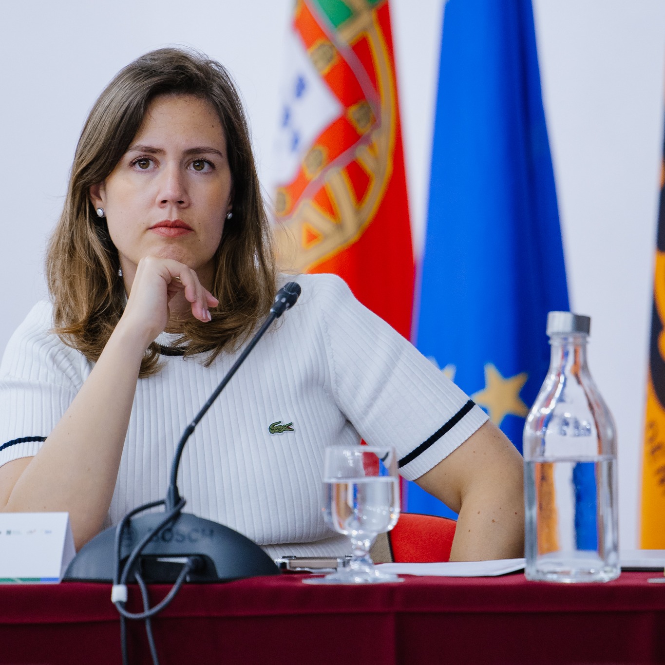 Lídia Pereira lidera delegação do Parlamento Europeu na COP30