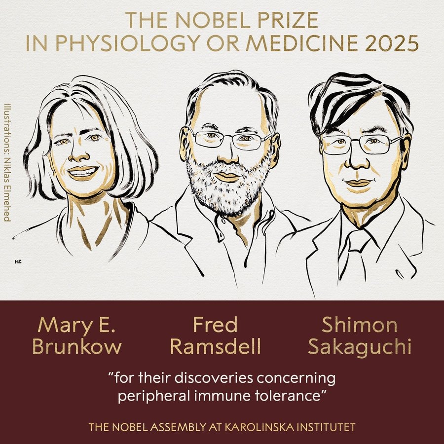 Nobel da Medicina atribuído a Mary E. Brunkow, Fred Ramsdell e Shimon Sakaguchi